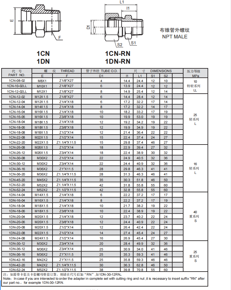 3、1CN.1DN.png